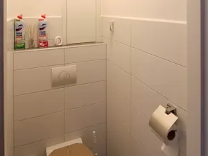 Prodej bytu 4+1, Ostrov, Lidická, 87 m2