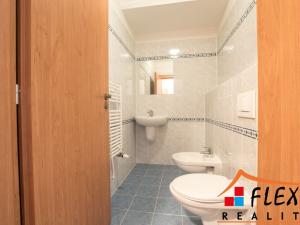 Pronájem bytu 4+kk, Ostrava, Hrušovská, 154 m2