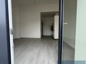 Prodej bytu 1+kk, Lomnice, Dlouhá, 30 m2