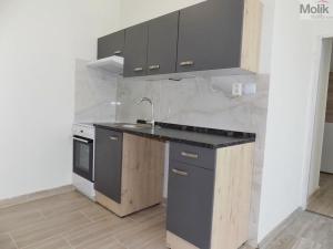 Pronájem bytu 2+kk, Teplice - Trnovany, Trnovanská, 40 m2