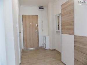 Pronájem bytu 2+kk, Teplice - Trnovany, Trnovanská, 40 m2