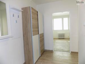 Pronájem bytu 2+kk, Teplice - Trnovany, Trnovanská, 40 m2