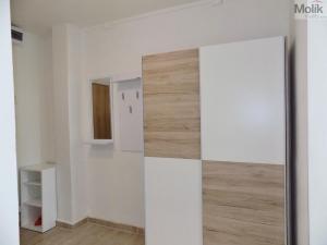Pronájem bytu 2+kk, Teplice - Trnovany, Trnovanská, 40 m2