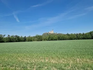 Prodej pozemku pro bydlení, Ráby, 981 m2
