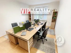 Pronájem vícegeneračního domu, Brno, Březinova, 362 m2