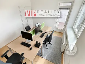 Pronájem vícegeneračního domu, Brno, Březinova, 362 m2