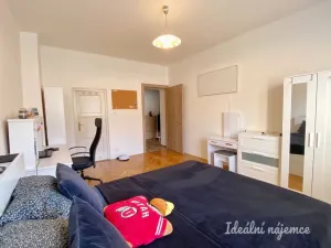 Pronájem bytu 1+1, Praha - Nusle, V Horkách, 52 m2