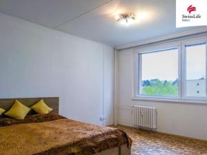 Pronájem bytu 1+1, Chrudim, Na Šancích, 40 m2