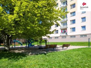Pronájem bytu 1+1, Chrudim, Na Šancích, 40 m2