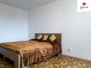 Pronájem bytu 1+1, Chrudim, Na Šancích, 40 m2