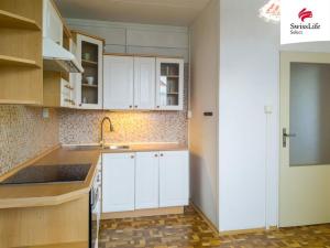 Pronájem bytu 1+1, Chrudim, Na Šancích, 40 m2