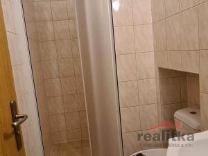Pronájem bytu 1+kk, Opava - Předměstí, Olbrichova, 30 m2