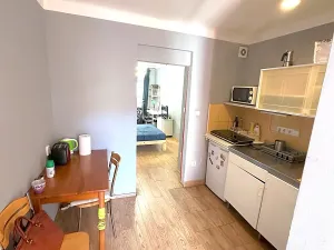 Pronájem bytu 1+1, Praha - Žižkov, Cimburkova, 32 m2