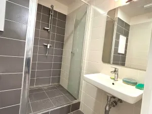 Pronájem bytu 1+kk, Plzeň - Bolevec, Manětínská, 26 m2