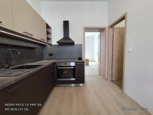 Pronájem bytu 1+1, České Budějovice, Fráni Šrámka, 35 m2