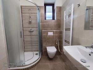 Pronájem bytu 1+1, České Budějovice, Fráni Šrámka, 35 m2