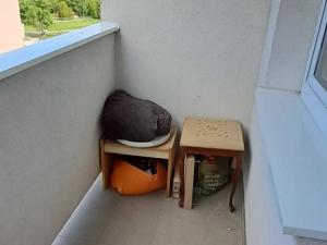 Prodej bytu 2+1, Neratovice, Kojetická, 48 m2