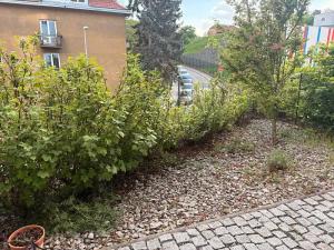 Pronájem bytu 2+kk, Praha - Smíchov, 50 m2