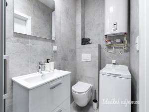 Pronájem bytu 1+kk, Praha - Kyje, Za černým mostem, 24 m2