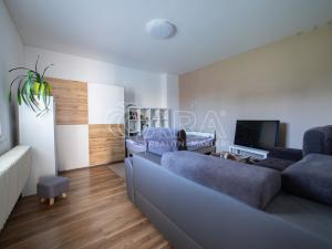 Prodej vícegeneračního domu, Tachlovice, Olivová, 290 m2