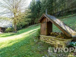 Prodej chalupy, Jestřabí v Krkonoších - Křížlice, Křížlice, 168 m2