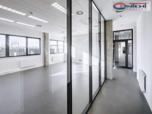 Pronájem výrobních prostor, České Budějovice - České Budějovice 4, Slévárenská, 24000 m2