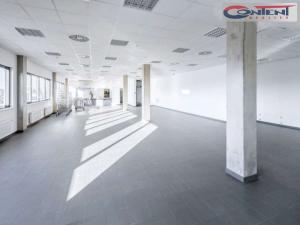 Pronájem výrobních prostor, České Budějovice - České Budějovice 4, Slévárenská, 24000 m2