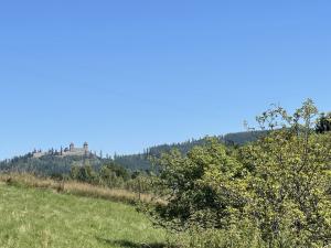 Prodej chalupy, Kašperské Hory, 235 m2
