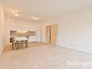 Pronájem bytu 2+kk, Brno, Košinova, 56 m2