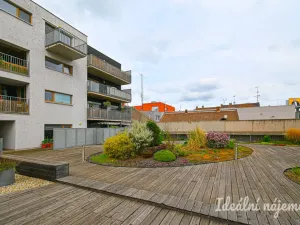 Pronájem bytu 2+kk, Brno, Košinova, 56 m2