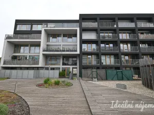 Pronájem bytu 2+kk, Brno, Košinova, 56 m2