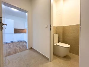 Pronájem bytu 2+kk, Praha - Žižkov, 53 m2