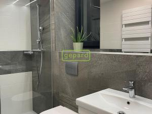 Pronájem bytu 1+kk, Praha - Kobylisy, Pakoměřická, 30 m2