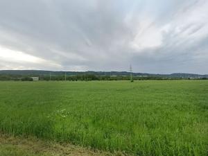 Prodej komerčního pozemku, Rybník, 10974 m2