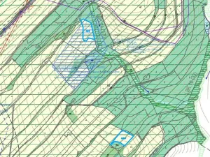 Dražba louky, Nový Malín, 8869 m2
