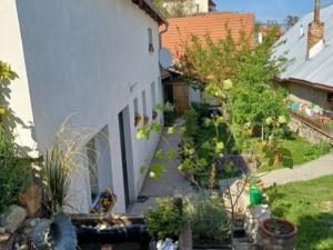 Prodej chalupy, Znojmo - Konice, Konice, 144 m2