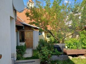 Prodej chalupy, Znojmo - Konice, Konice, 144 m2