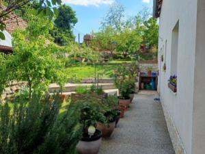 Prodej chalupy, Znojmo - Konice, Konice, 144 m2