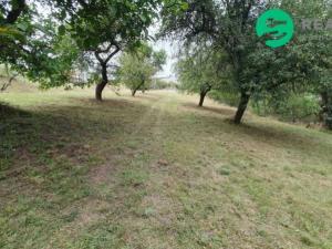 Pronájem zahrady, Otročiněves, 7000 m2