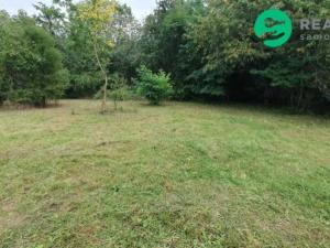 Pronájem zahrady, Otročiněves, 7000 m2