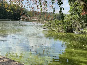 Prodej rodinného domu, Hrusice, K Penzionu, 360 m2
