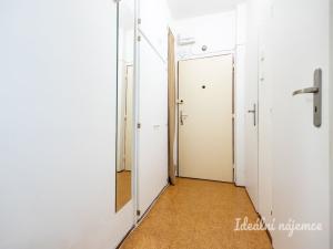 Pronájem bytu 2+1, Praha - Vinohrady, Pod Rapidem, 42 m2