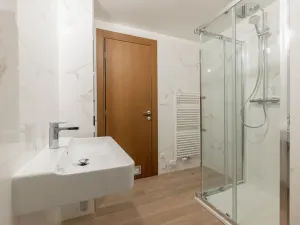 Prodej bytu 2+kk, Teplice, Novoveská, 54 m2