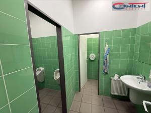 Pronájem výrobních prostor, Praha - Hostivař, Průmyslová, 2695 m2