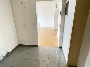 Pronájem bytu 2+kk, Praha - Vinohrady, Polská, 120 m2