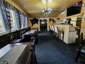 Pronájem restaurace, Orlová - Lutyně, Modřínová, 330 m2