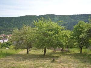 Prodej zahrady, Nedvědice, 1833 m2