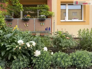 Pronájem bytu 1+1, Chlumec, Cyrilská, 36 m2