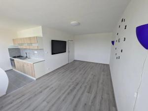 Pronájem bytu 1+1, Most, Javorová, 35 m2