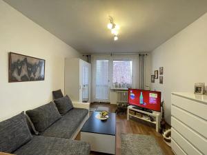 Prodej bytu 1+kk, Šumperk, Bratrušovská, 32 m2